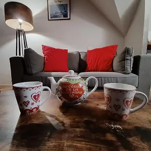  Appartement Duplex Classe 4 Etoiles Plein Centre Village
